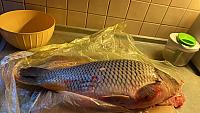 IMG 5402