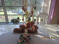 IMG 1920