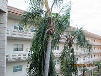 IMG 2510