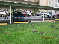 IMG 2522