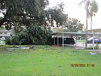 IMG 2526