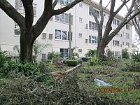 IMG 2537