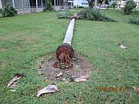 IMG 2538