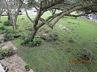 IMG 2540