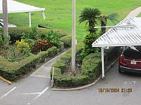 IMG 2545