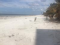 IMG 6083