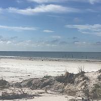 IMG 6123
