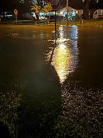 IMG 6642