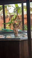 IMG 0675