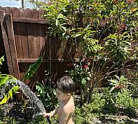 IMG 1867