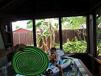 IMG 2403