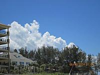IMG 2429