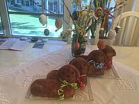 IMG 5547