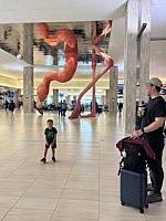 IMG 2926