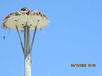 IMG 8632