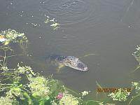 IMG 8646