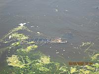 IMG 8647