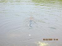 IMG 8651