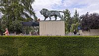 20250709144929-R5D 4713