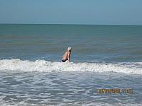 IMG 8604 - Copy