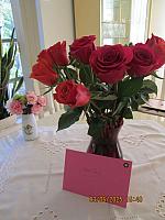 IMG 8582
