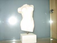 IMG 3115