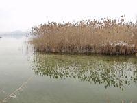 p1019003.jpg