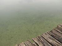 p1019015.jpg