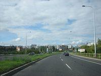 IMG 4252