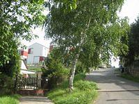 IMG 4295