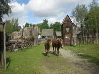 IMG 4301