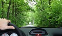 IMG_1772.jpg