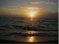 IMG_3350.JPG