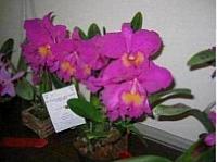 IMG_3368.JPG