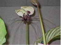 IMG_3372.JPG