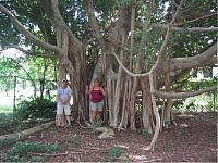IMG_3426.JPG